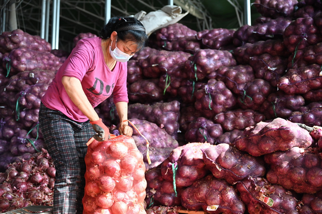 3月30日，在福建省晋江市禾恒蔬菜批发市场，工人给蔬菜装袋。