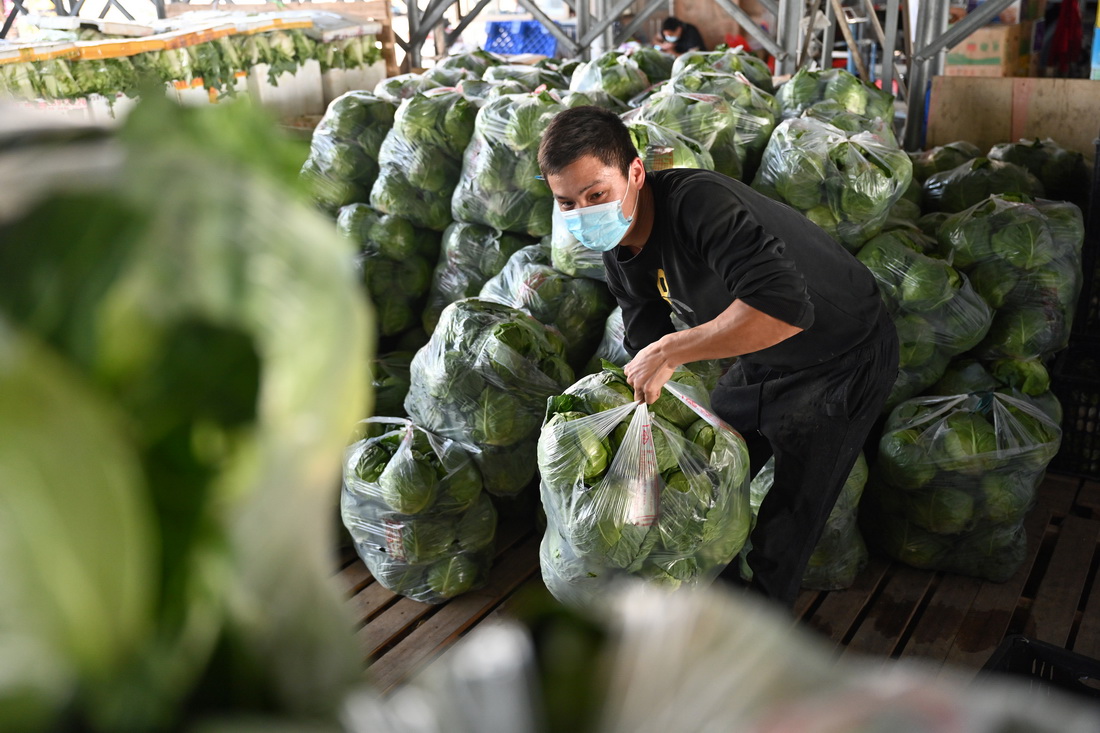 3月30日，在福建省晋江市禾恒蔬菜批发市场，商贩在搬运蔬菜。