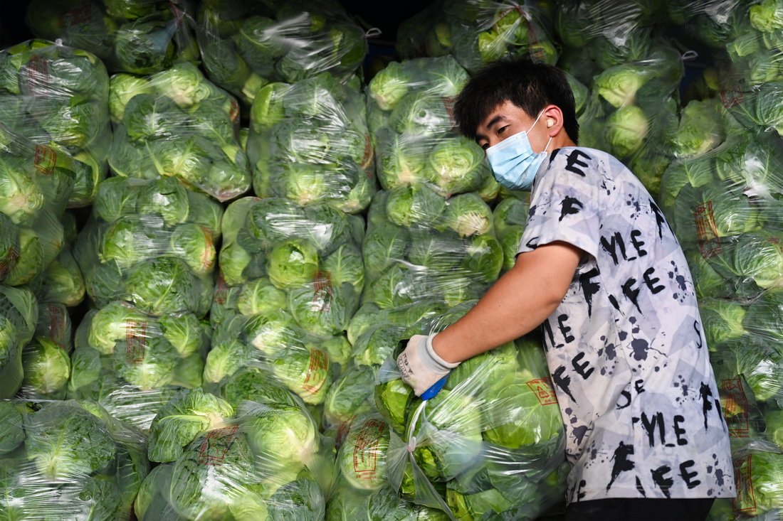 3月30日，在福建省晉江市禾恆蔬菜批發市場，貨運工人卸下貨車上的蔬菜。