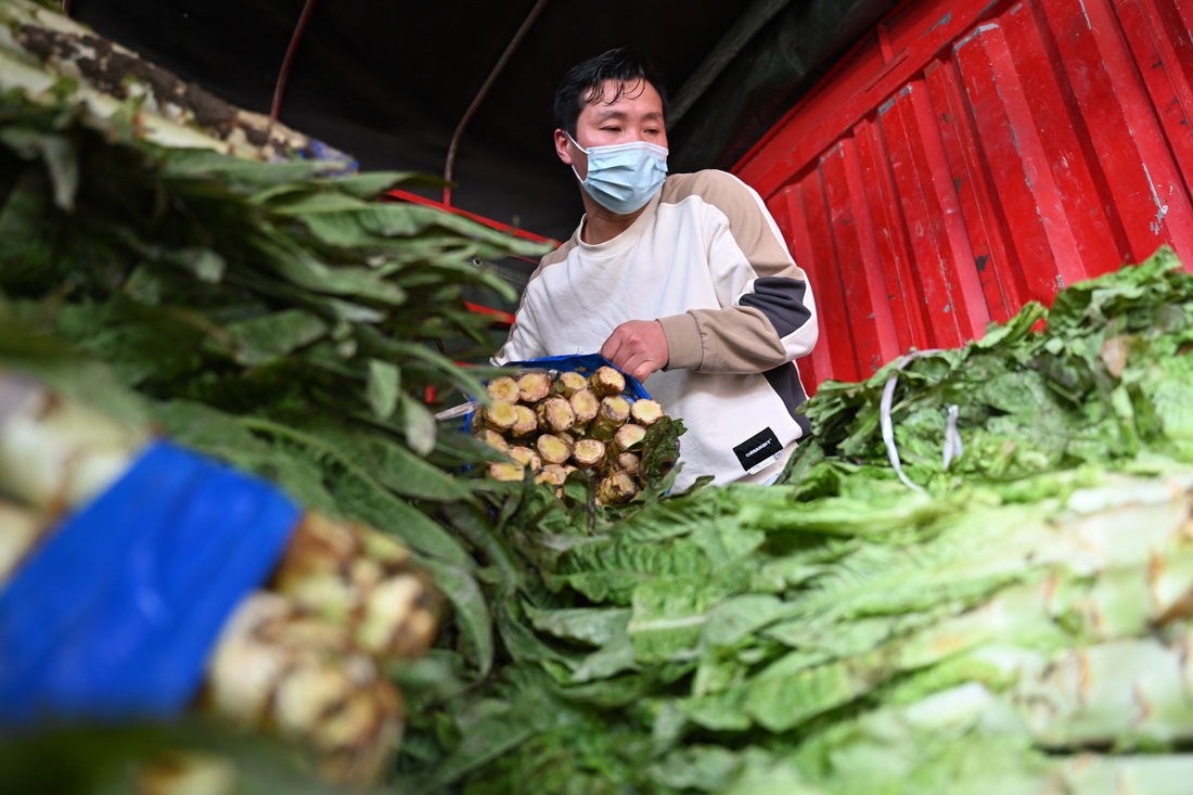 3月30日，在福建省晉江市禾恆蔬菜批發市場，貨車司機卸下車裡的蔬菜。