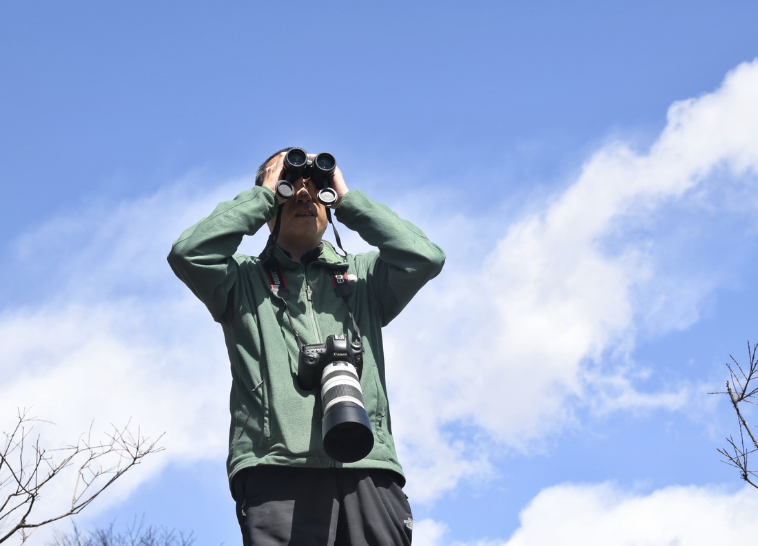 3月23日，何曉安在臥龍自然保護區內用望遠鏡觀察鳥類。新華社記者 劉坤 攝
