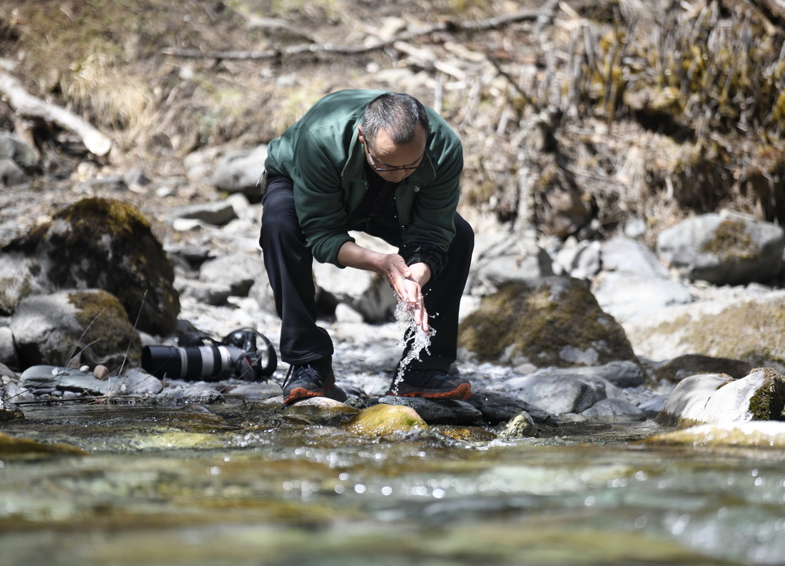 3月23日，何曉安在臥龍自然保護區內尋找鳥類途中取水洗手。新華社記者 劉坤 攝
