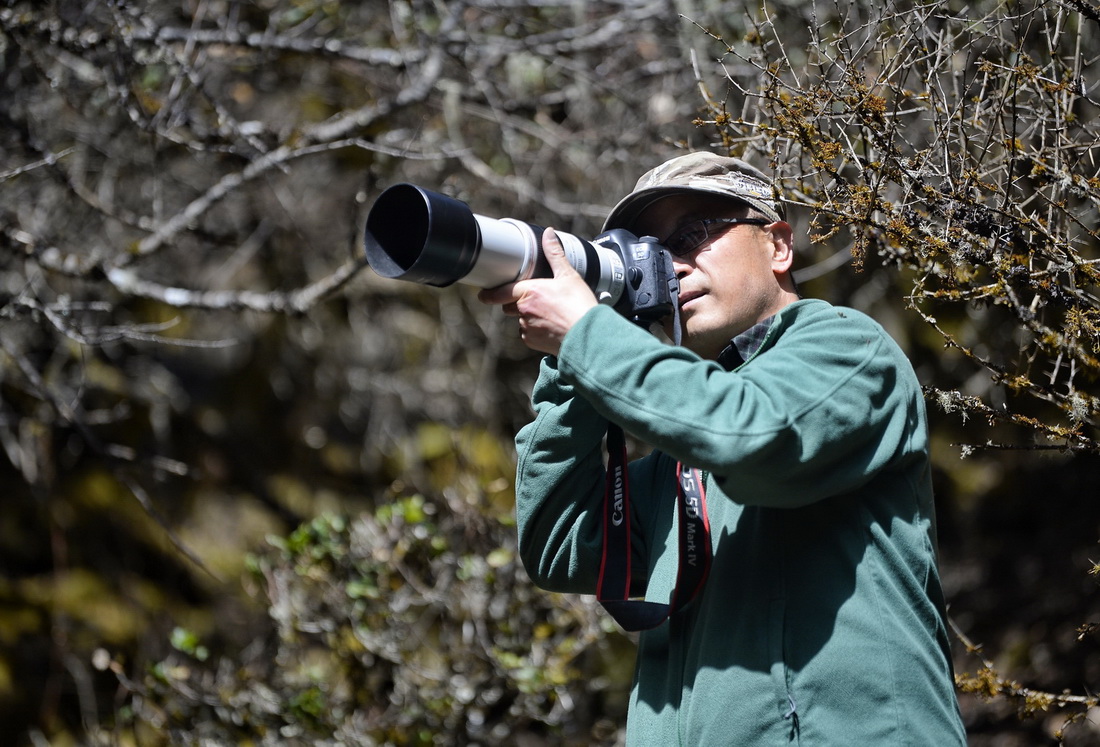 3月23日，何曉安在臥龍自然保護區內拍鳥。新華社記者 劉坤 攝