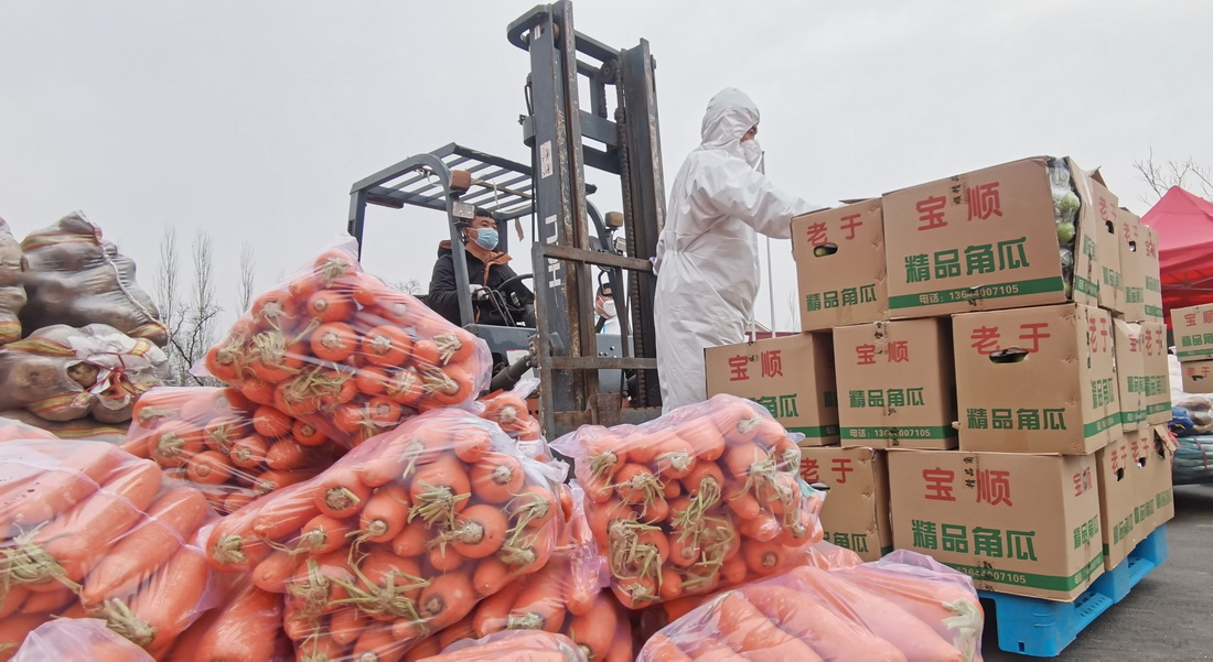 4月11日，在中國供銷農產品（沈陽）集配中心，沈撫改革創新示范區志願者在搬運蔬菜。