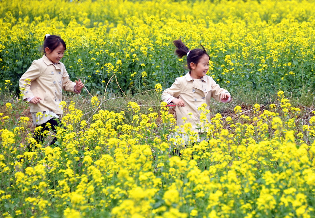 4月17日，小朋友在北京市平谷區峪口鎮西樊各庄村油菜花田中玩耍。