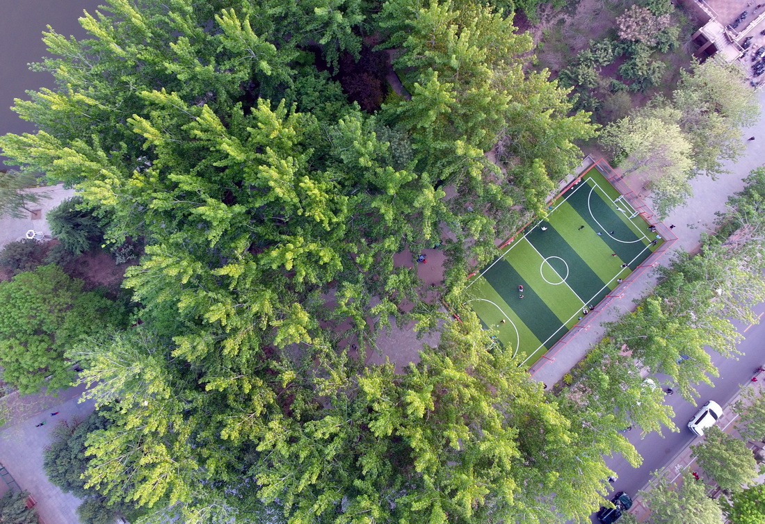 这是4月19日拍摄的石家庄市裕华区希望绿洲公园足球场（无人机照片）。该场地位于希望绿洲公园北侧，利用公园绿地新建五人制足球场，于4月初投入使用，吸引周边多个小区居民前来健身。