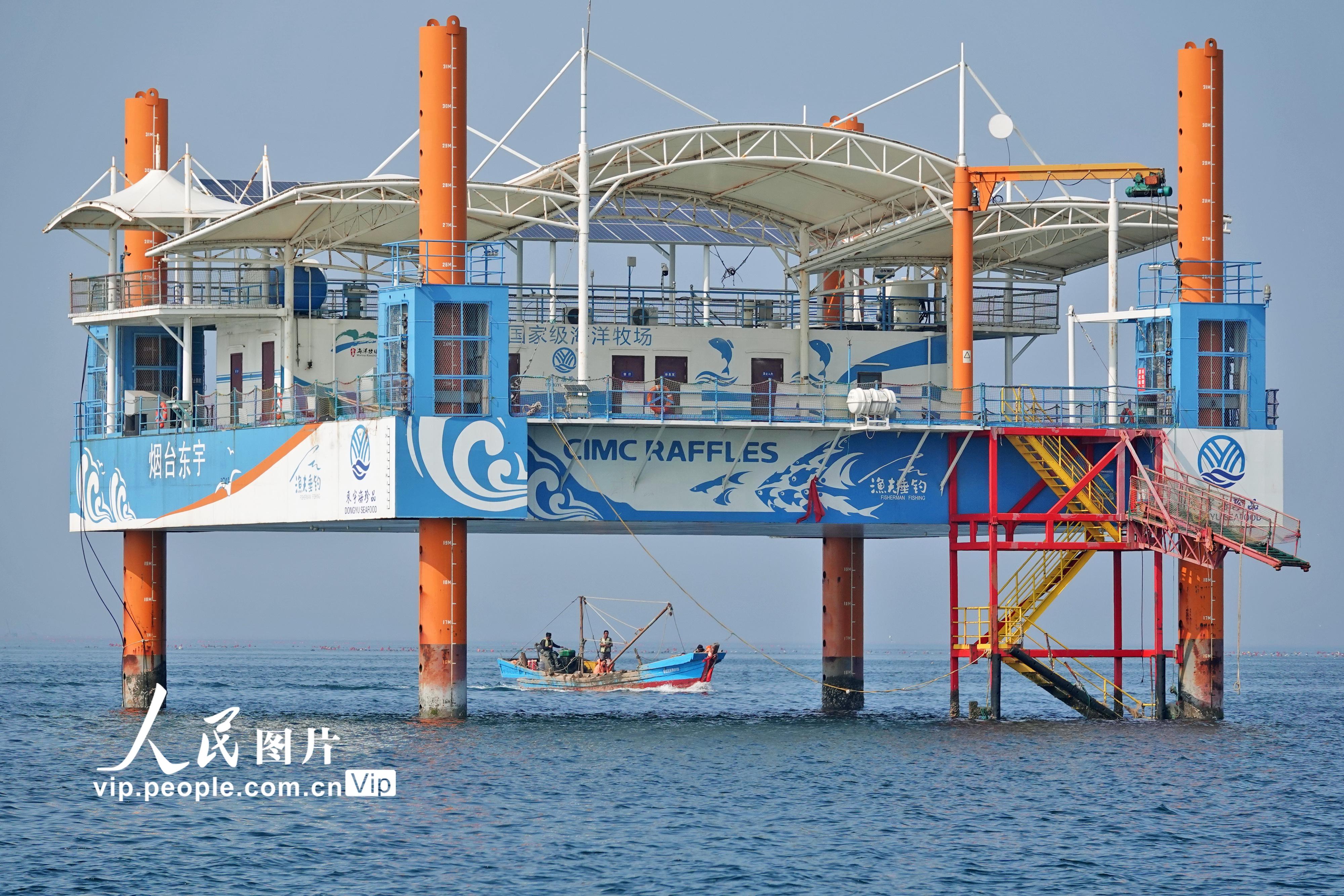 2022年4月19日，在山东烟台高新区东宇国家级海洋牧场，一艘渔船驶过自升式多功能海洋牧场平台。