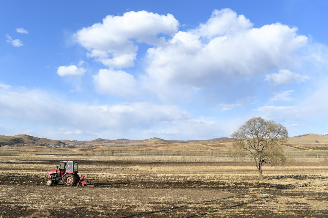 4月27日，一辆农用车行驶在内蒙古自治区呼伦贝尔市扎兰屯市尖山子村的田地里。