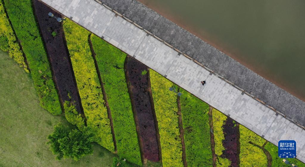 5月6日，居民在重慶永川神女湖生態文化公園跑步健身（無人機照片）。新華社記者 王全超 攝