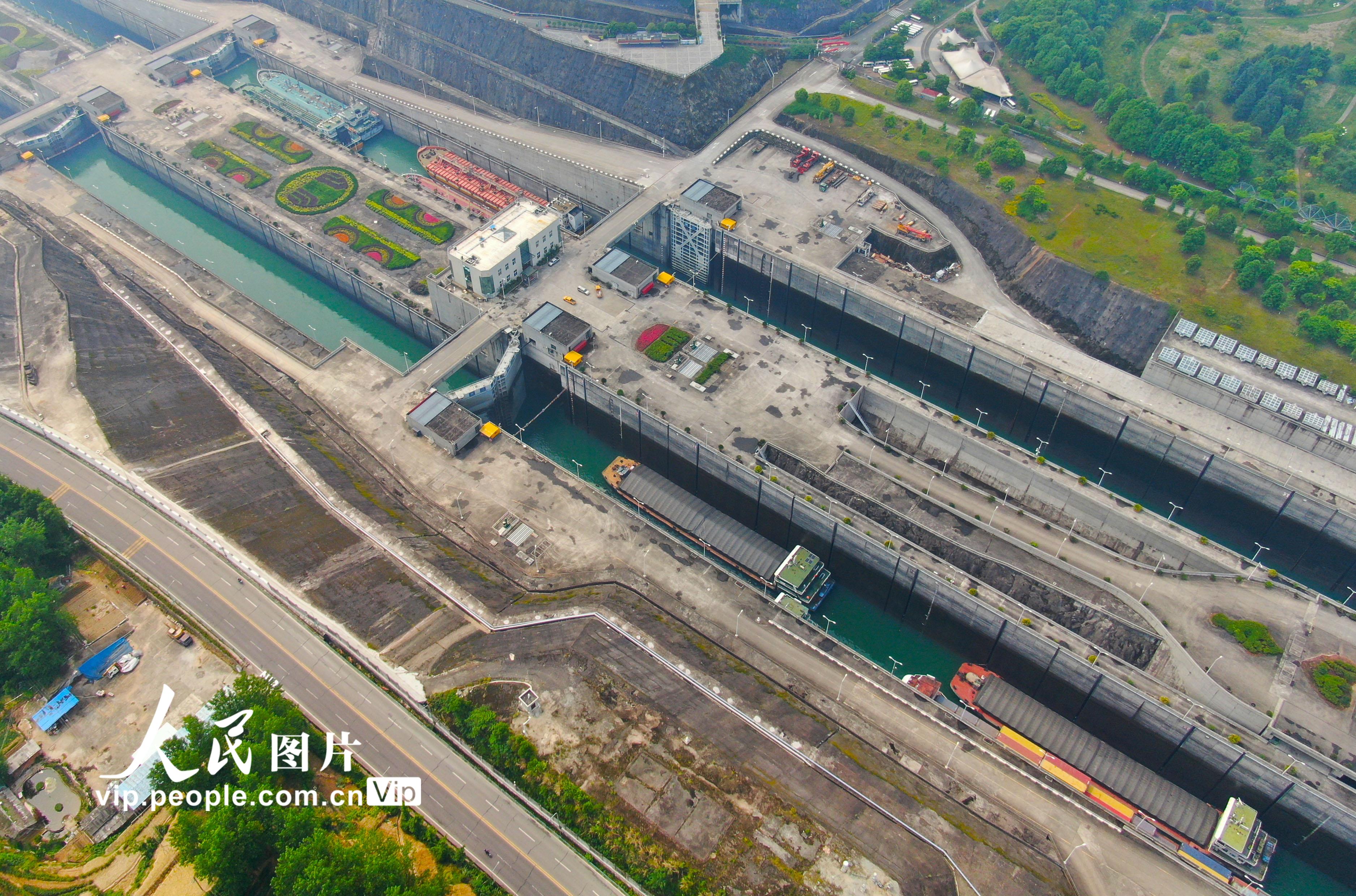 湖北宜昌：三峽船閘雙線換向下行疏解上游積壓船舶【2】