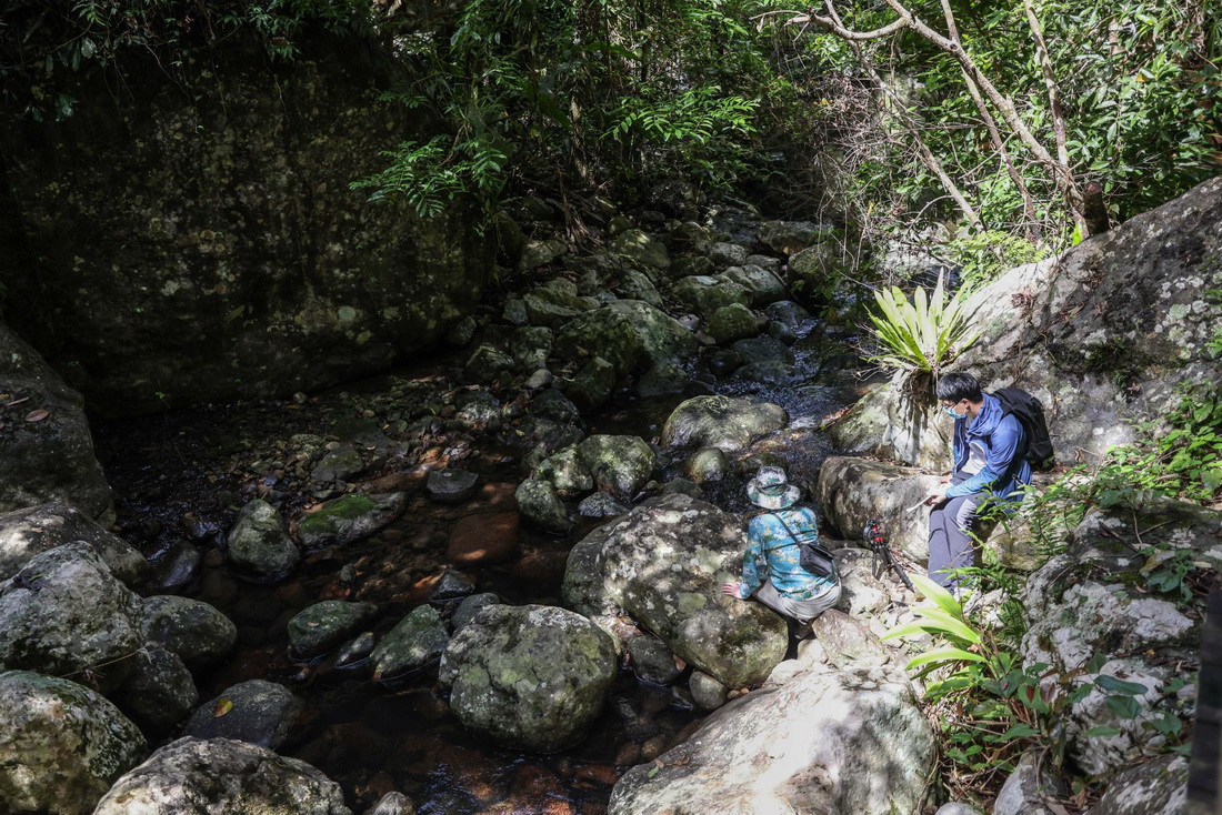 科研人员在海南热带雨林国家公园五指山片区调研（5月19日摄）。新华社记者 张丽芸 摄