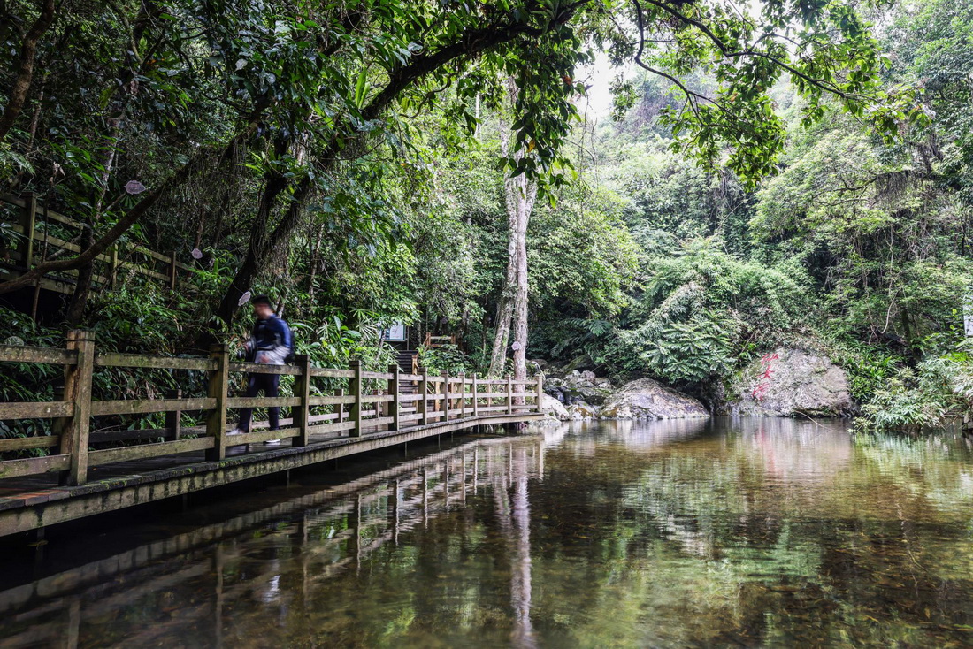 游客在海南熱帶雨林國家公園五指山片區的仙女潭游覽（5月17日攝）。新華社記者 張麗芸 攝