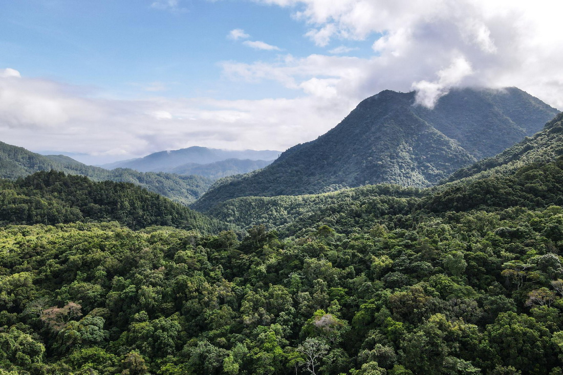这是5月19日拍摄的海南热带雨林国家公园五指山片区（无人机照片）。新华社记者 张丽芸 摄