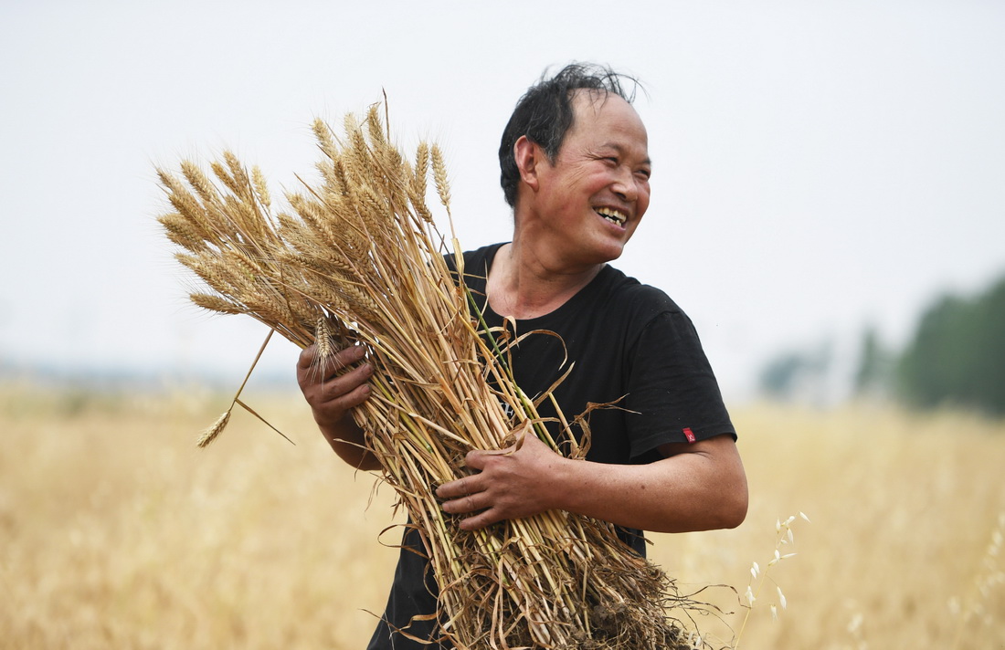 5月22日，河南省南陽市唐河縣湖陽鎮周安村，村民白錄才展示今年收獲的小麥。