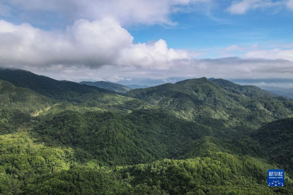 這是5月19日拍攝的海南熱帶雨林國家公園五指山片區景色（無人機照片）。