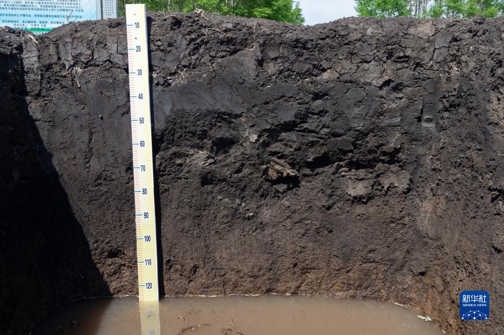 黑龍江省海倫市前進鎮自新村農業科技示范基地內一處用來觀測黑土層厚度的土壤剖面（5月23日攝）。