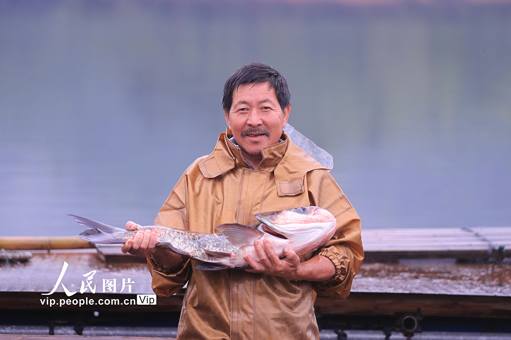 ����̩�ͣ���̬ˮ�Ⲷ��æ��8��