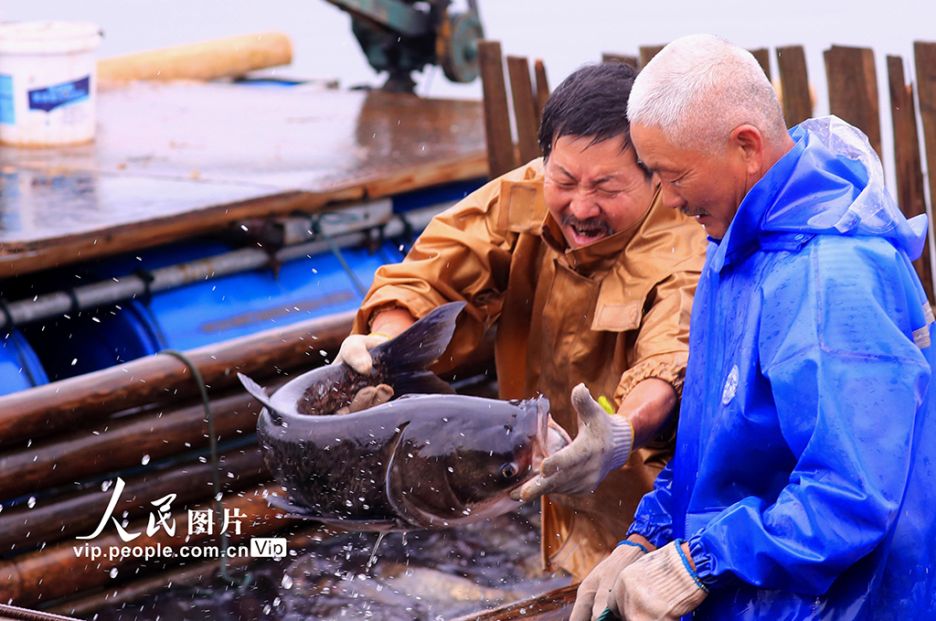 ����̩�ͣ���̬ˮ�Ⲷ��æ��7��