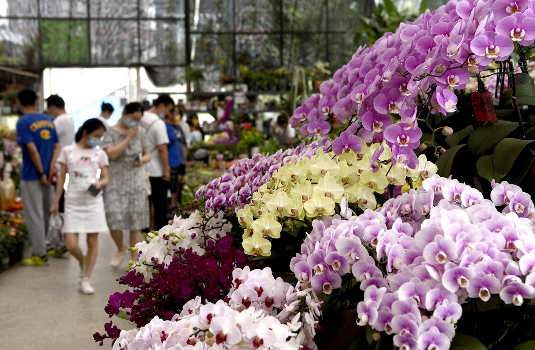 5月29日，市民在西安际华3511文创科技园内的花市休闲。