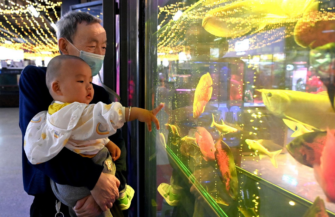 市民在西安际华3511文创科技园内的鱼市观赏游玩（5月20日摄）。