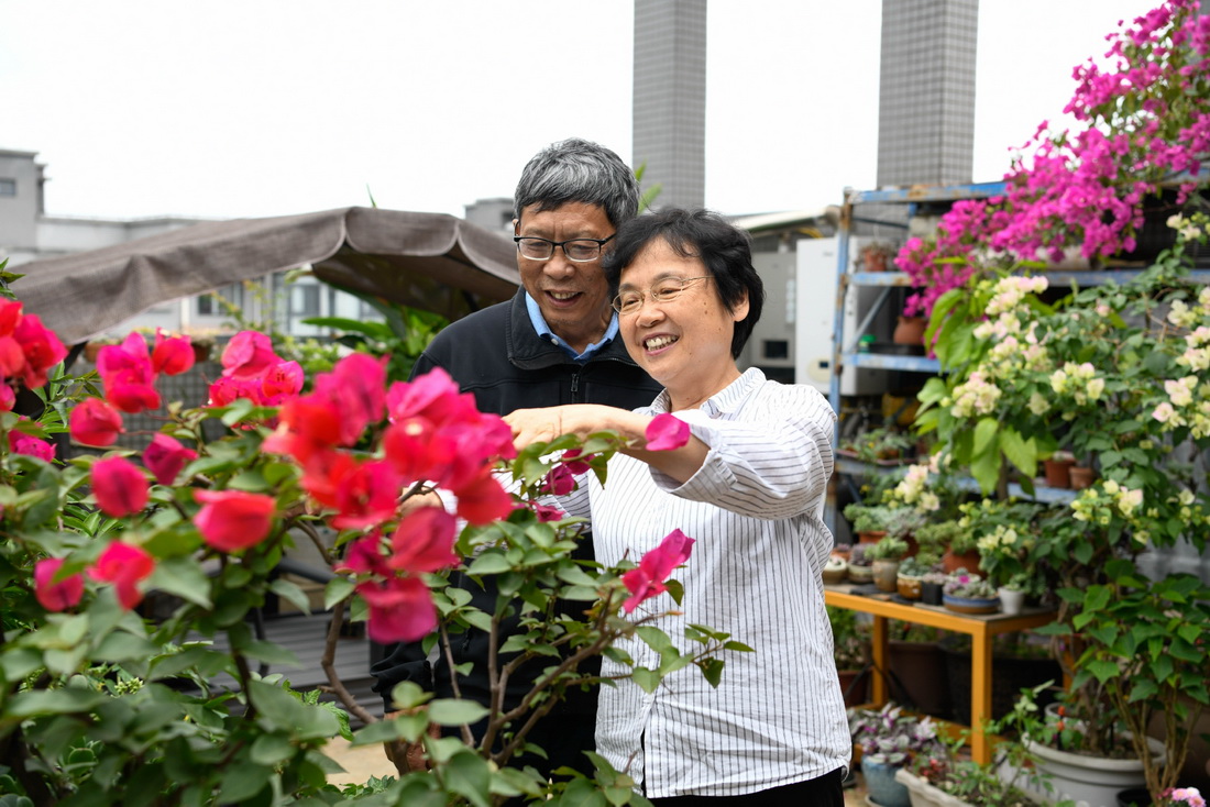 5月27日，黃正中（左）和戴虹在家裡一起修剪花卉。新華社記者 胥冰潔 攝