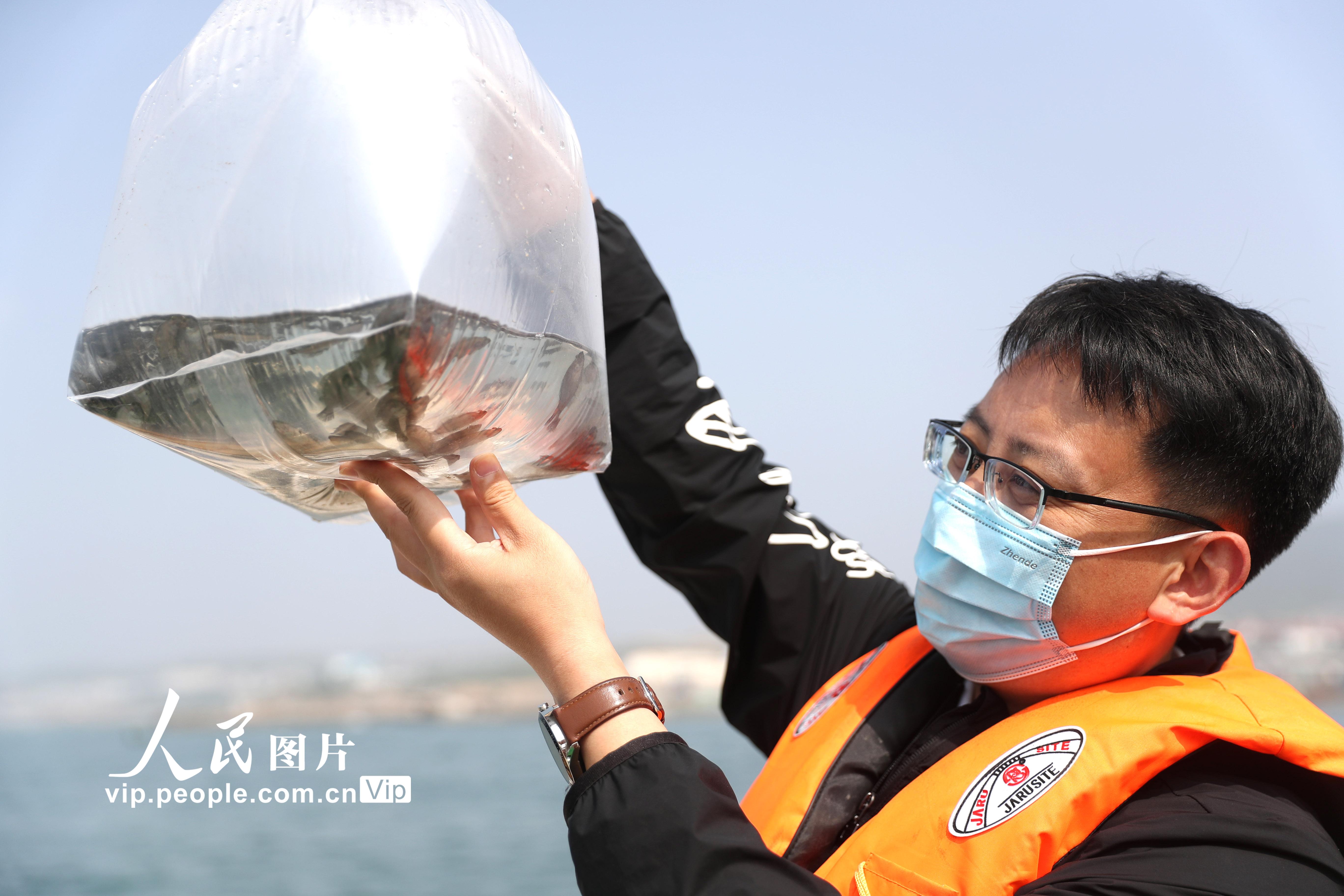 山東青島：7000多萬單位優質魚蝦蟹苗“播種”大海【3】