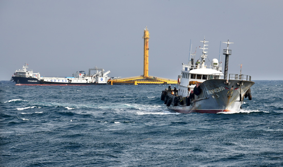 一條漁船（前）在青島國家深遠海綠色養殖試驗區協助進行收魚作業（6月7日攝）。新華社記者 李紫恆 攝