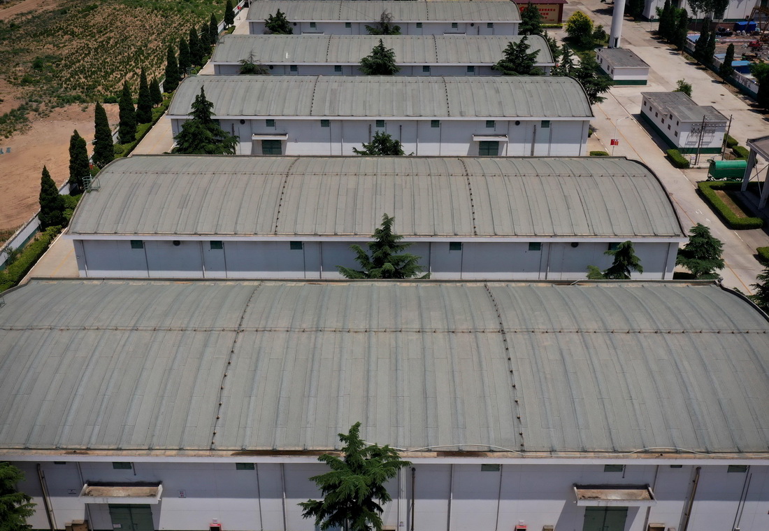 这是6月10日拍摄的中央储备粮鹤壁直属库有限公司浚县分公司内的粮仓（无人机照片）。