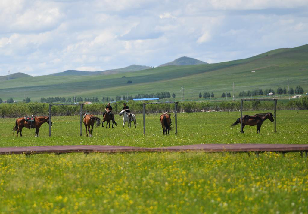 6月23日，游客在烏蘭毛都草原體驗騎馬。