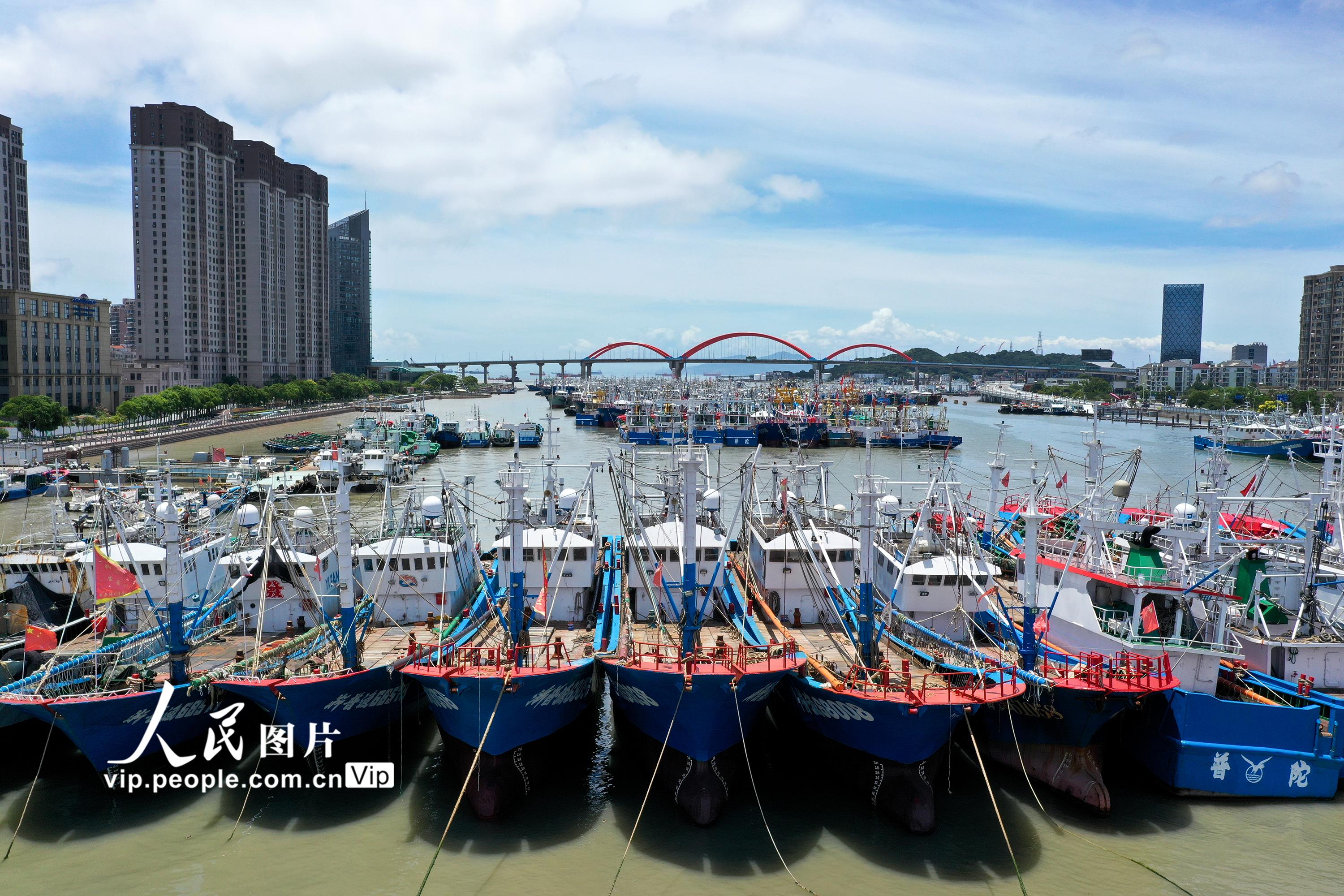 浙江舟山：漁船在港避台風“艾利”【7】