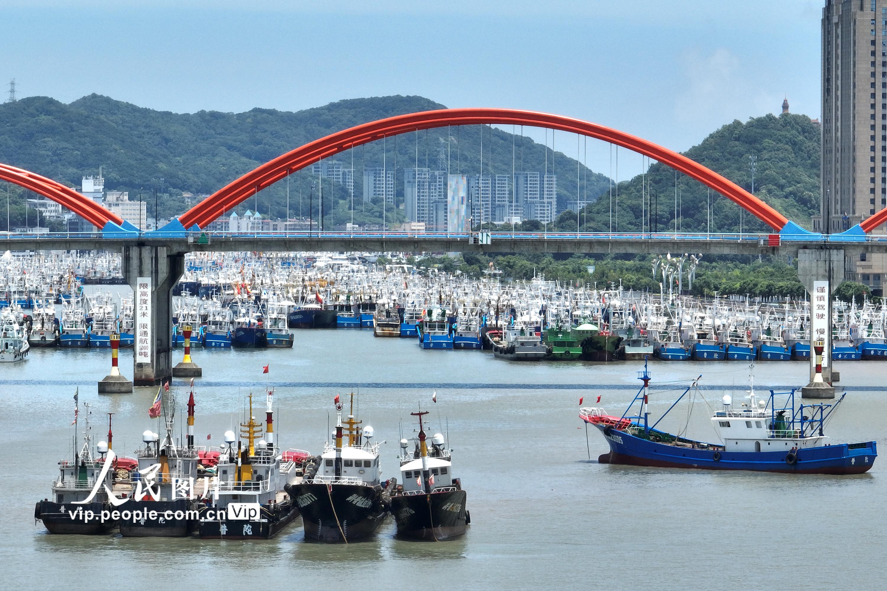 浙江舟山：漁船在港避台風“艾利”【2】