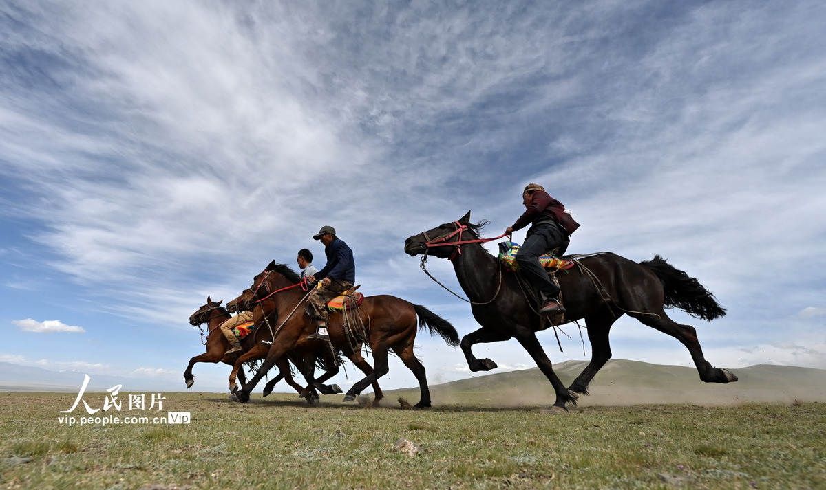 新疆和靜：鄉村那達慕引爆盛夏草原