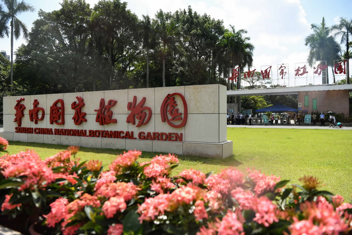 這是7月11日拍攝的華南國家植物園。