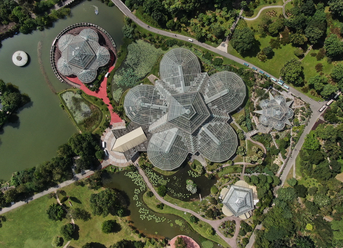 這是7月11日拍攝的華南國家植物園展覽溫室群（無人機照片）。