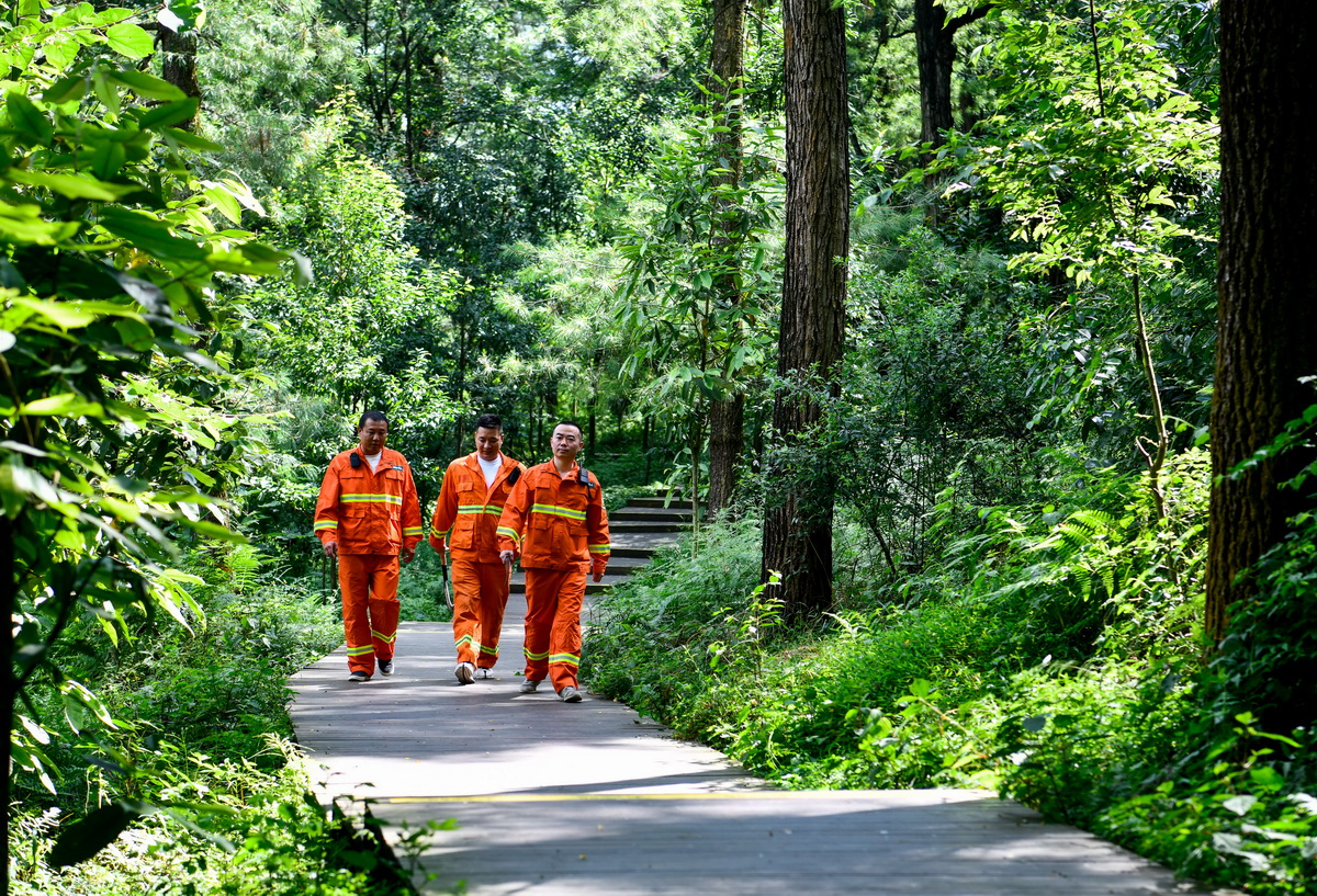 7月13日，在贵阳市长坡岭国家级森林公园，村级林长郭健（左一）带领护林员在公园里巡护。