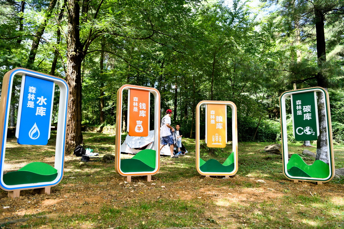 7��13�գ������ڹ����г�������Ҽ�ɭ�ֹ�԰���С�