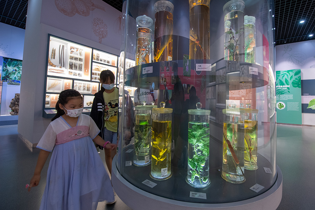 7月15日，在北京自然博物馆，一位家长正带着孩子参观植物标本。人民网记者 翁奇羽摄