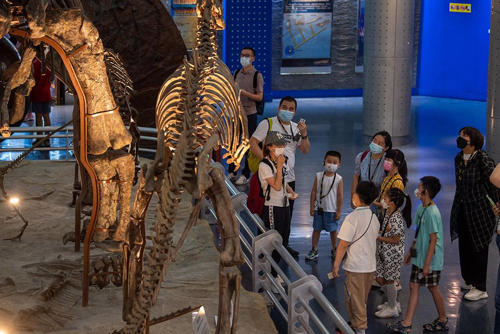 7月15日，众多孩子和家长在北京自然博物馆参观游览。人民网记者 翁奇羽摄