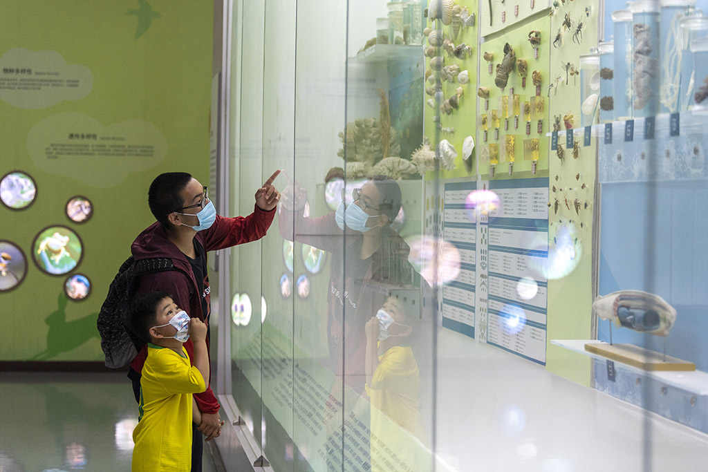 7月15日，在北京自然博物馆，一位家长正在为孩子讲解有关生物多样性的知识。人民网记者 翁奇羽摄