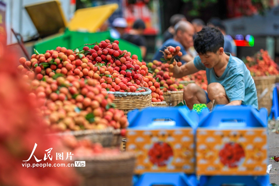 2022年7月22日，合江县之溪街荔枝临时交易市场，新鲜荔枝供应市场。