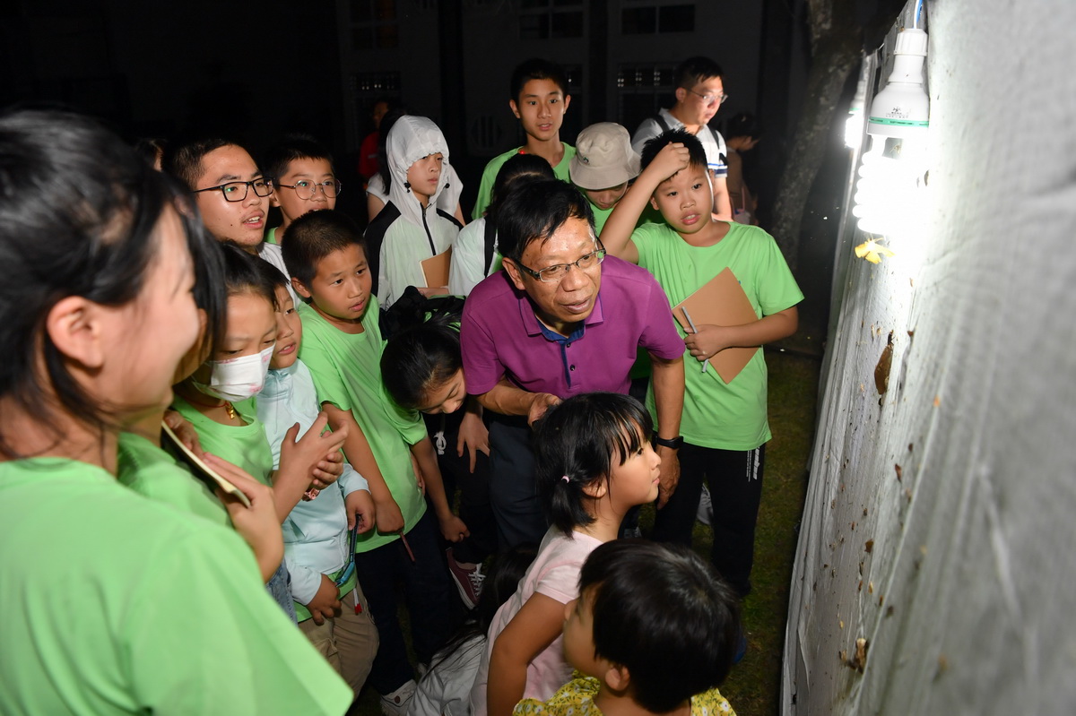 7月23日，參加活動的中小學生在自然教育導師的指導下，了解夜晚如何利用燈光吸引昆虫。