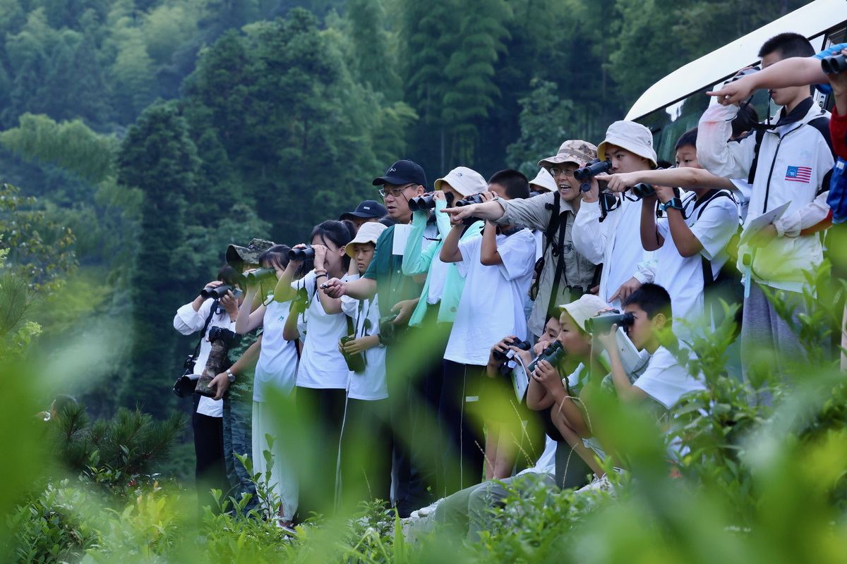 7月24日，參加活動的中小學生在自然教育導師的指導下觀鳥。