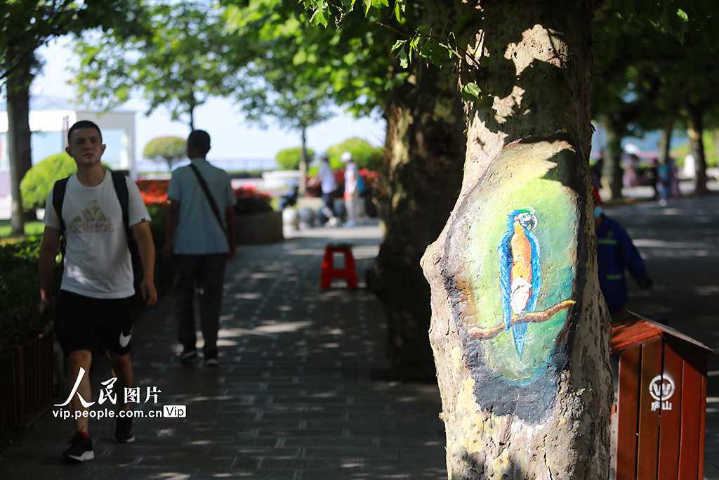 江西九江：树木养护新举措 3D动物“跃然树上”【5】
