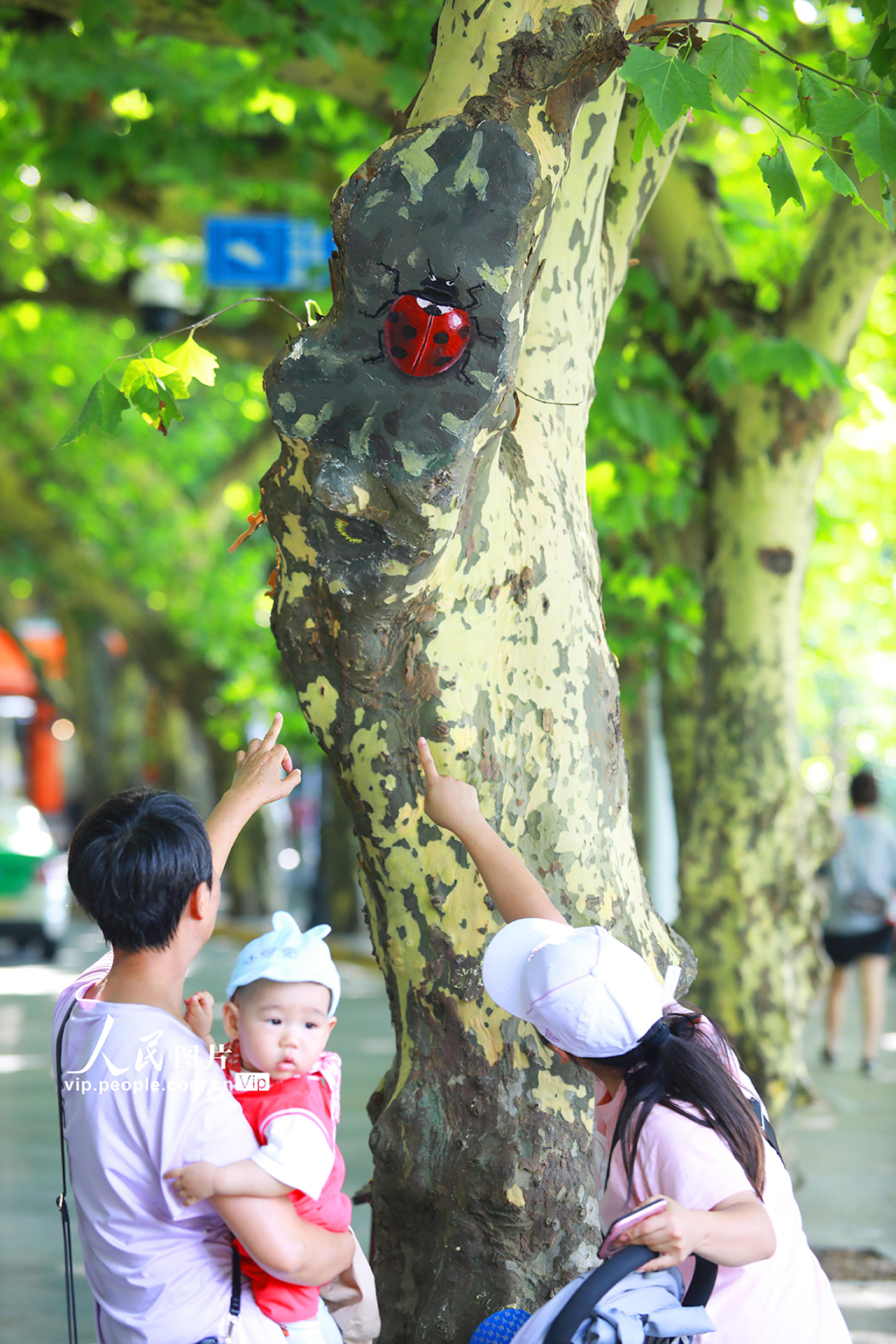 江西九江：树木养护新举措 3D动物“跃然树上”【6】