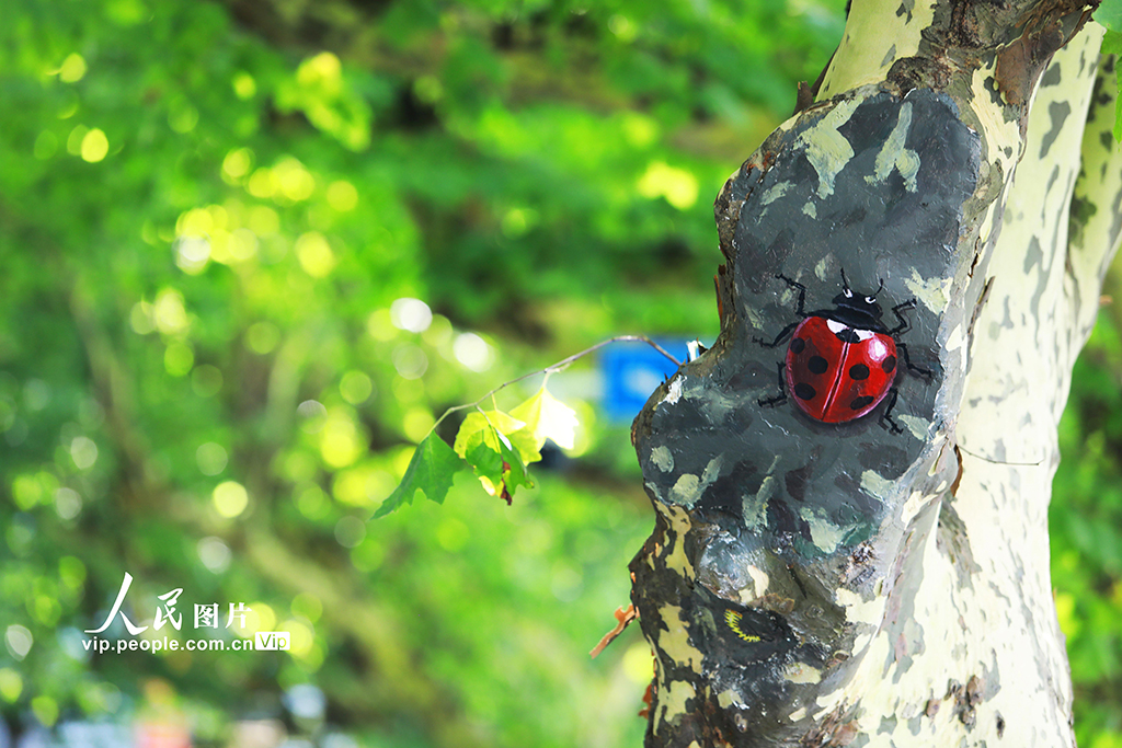 江西九江：树木养护新举措 3D动物“跃然树上”【7】