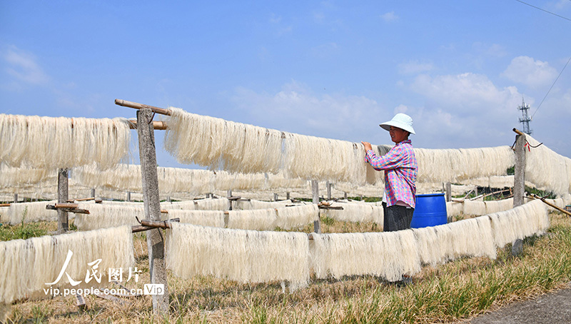 2022年7月31日，浙江省台州市仙居县白塔镇金店村一家米面加工厂的农民在晾晒米面。