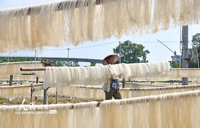 2022年7月31日，浙江省台州市仙居县白塔镇金店村一家米面加工厂的农民在晾晒米面。