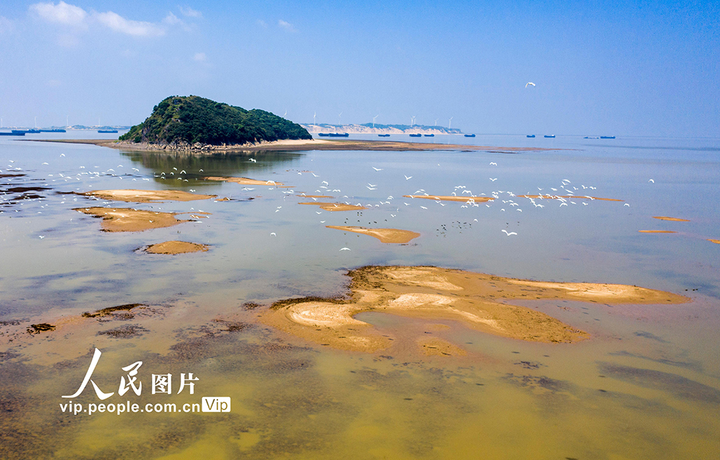 江西鄱阳湖水位一个月下降近5米