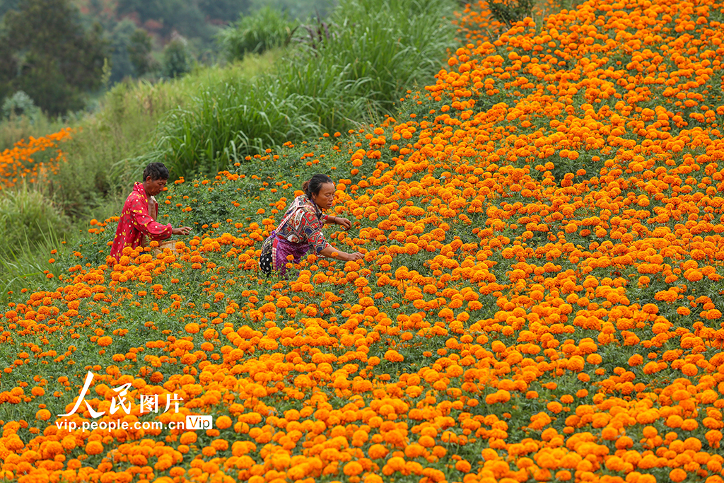 ���Ͽ�Զ�����پ���ũ���ա�4��