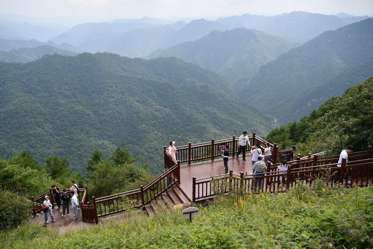 7月30日，游客在留壩縣紫柏山國家森林公園內游覽。